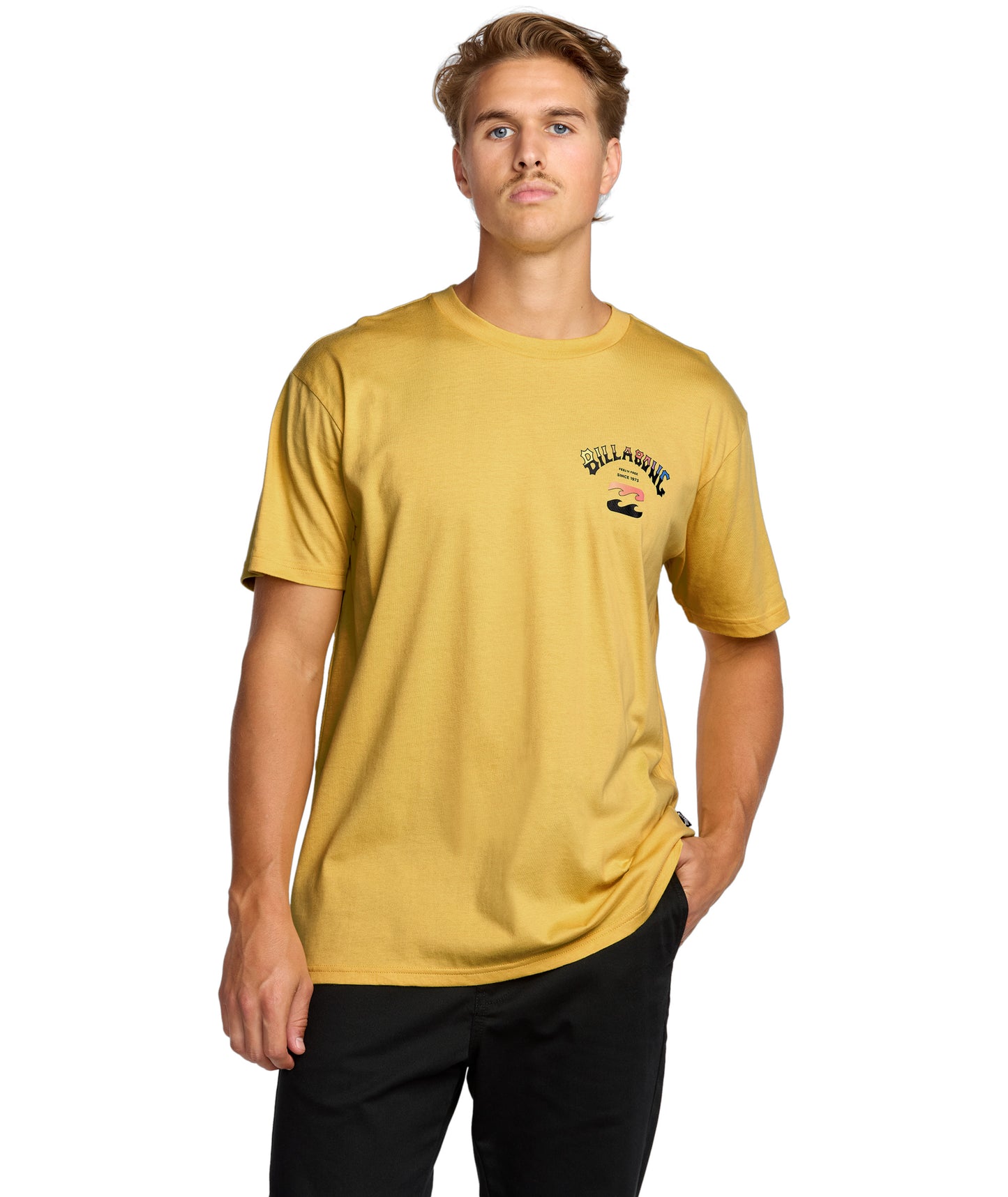 Billabong Arch Fade Premium Tee